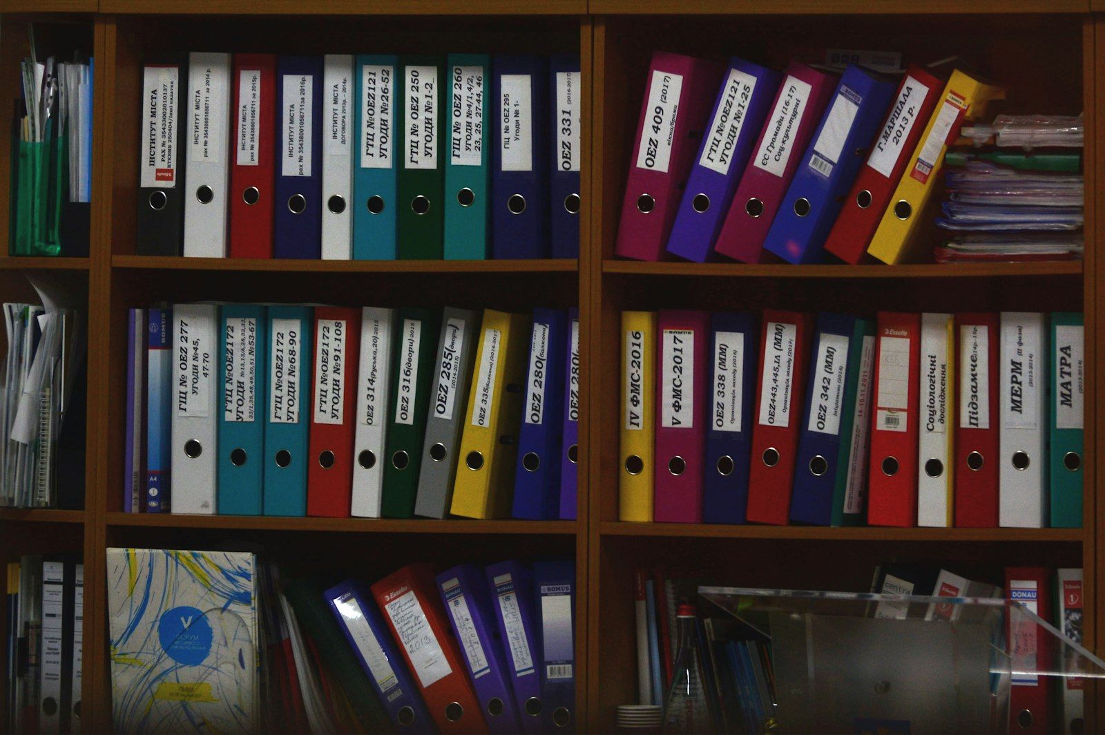 Estantería con carpetas de expedientes ordenadas